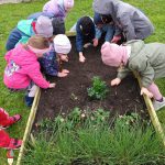 Na zdjęciu widać dzieci z grupy SŁONECZEK, podczas prac w ogródku warzywnym.