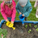 Na zdjęciu widać dzieci z grupy ROBACZKÓW, podczas prac w ogródku warzywnym.