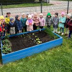 Na zdjęciu widać dzieci z grupy ROBACZKÓW, dzieci stoją przy ogródku warzywnym, jest to zdjęcie grupowe.